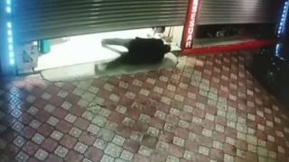 Kapanmak üzere olan kepengin altından yuvarlanarak geçti