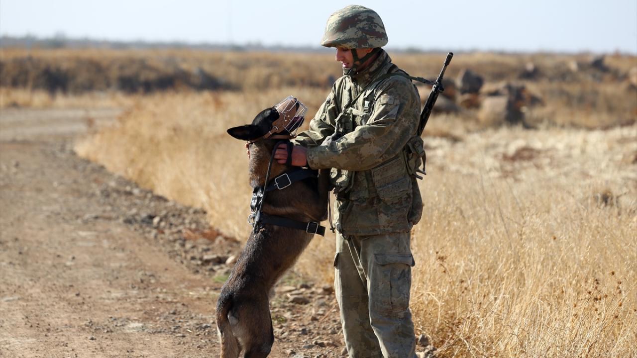 "Hassas burunlar" da görev başında