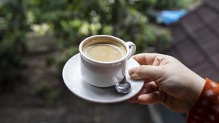 Dünyanın en pahalı kahvesi: Misk kedisinin midesinde mayalanıyor