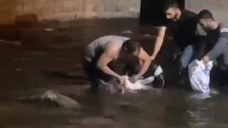 Dev yayın balıklarını elleriyle yakaladılar