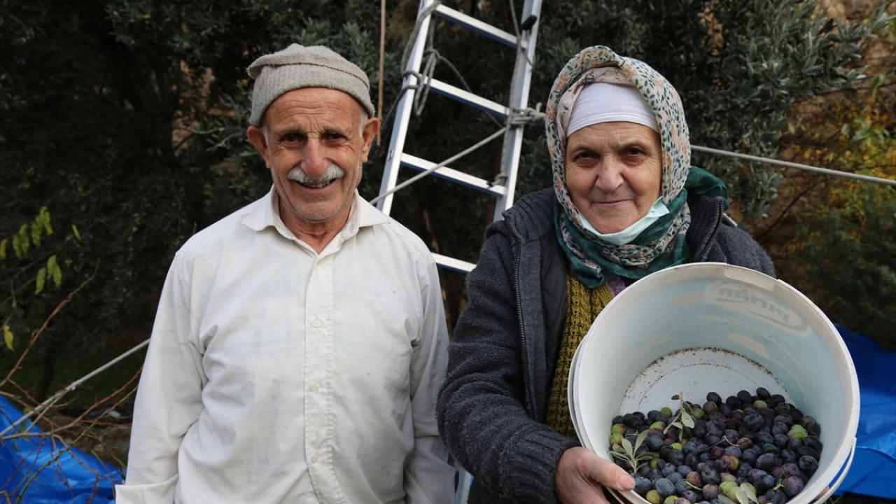 Üreticiler rekolteden memnun