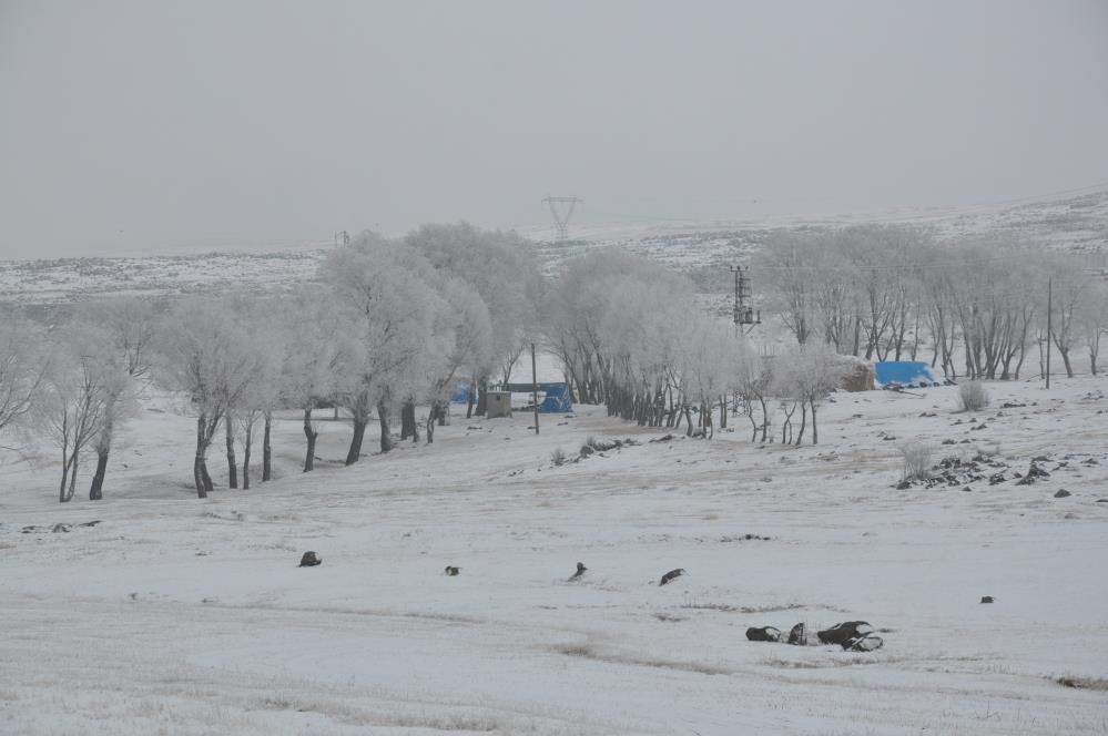 KARS