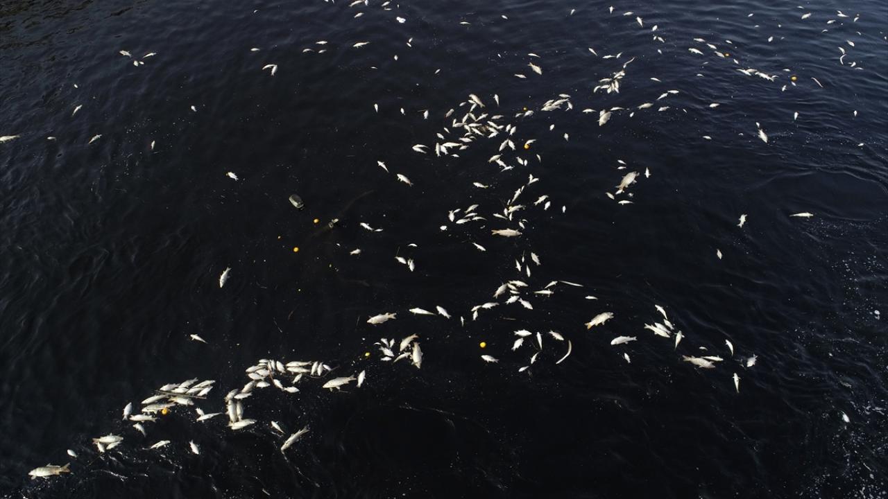 "Bölgede çok ciddi analizlerin yapılması gerekiyor"