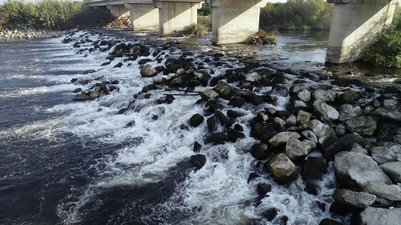 Sudan ve balıklardan numuneler alınmıştı