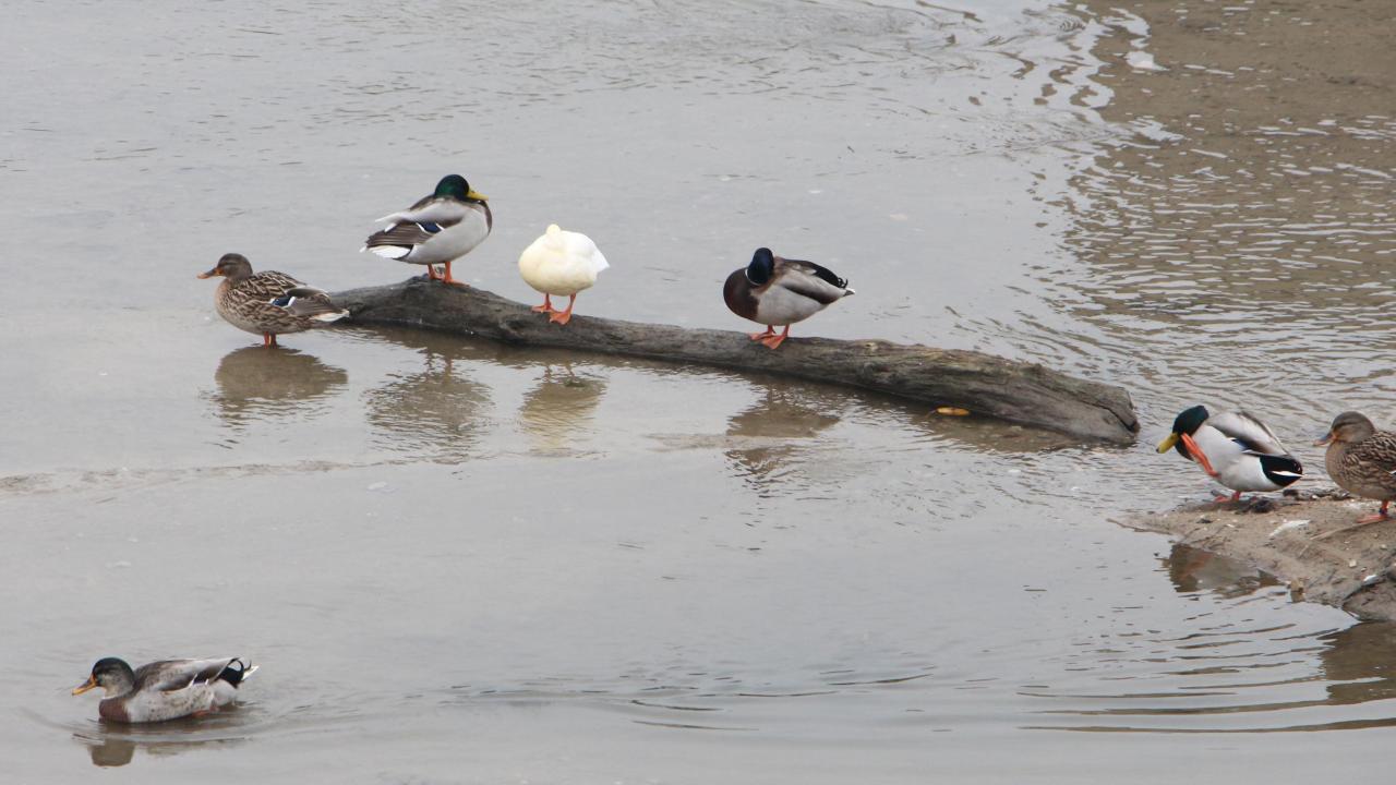 "40 yıldır böyle kuraklık görmedim"