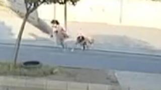 Köpeklerden kaçan çocuk, araç altında kalmaktan son anda kurtuldu