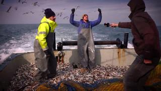 İstanbullu balıkçıların coşkusu: TRT bize bereketli geldi