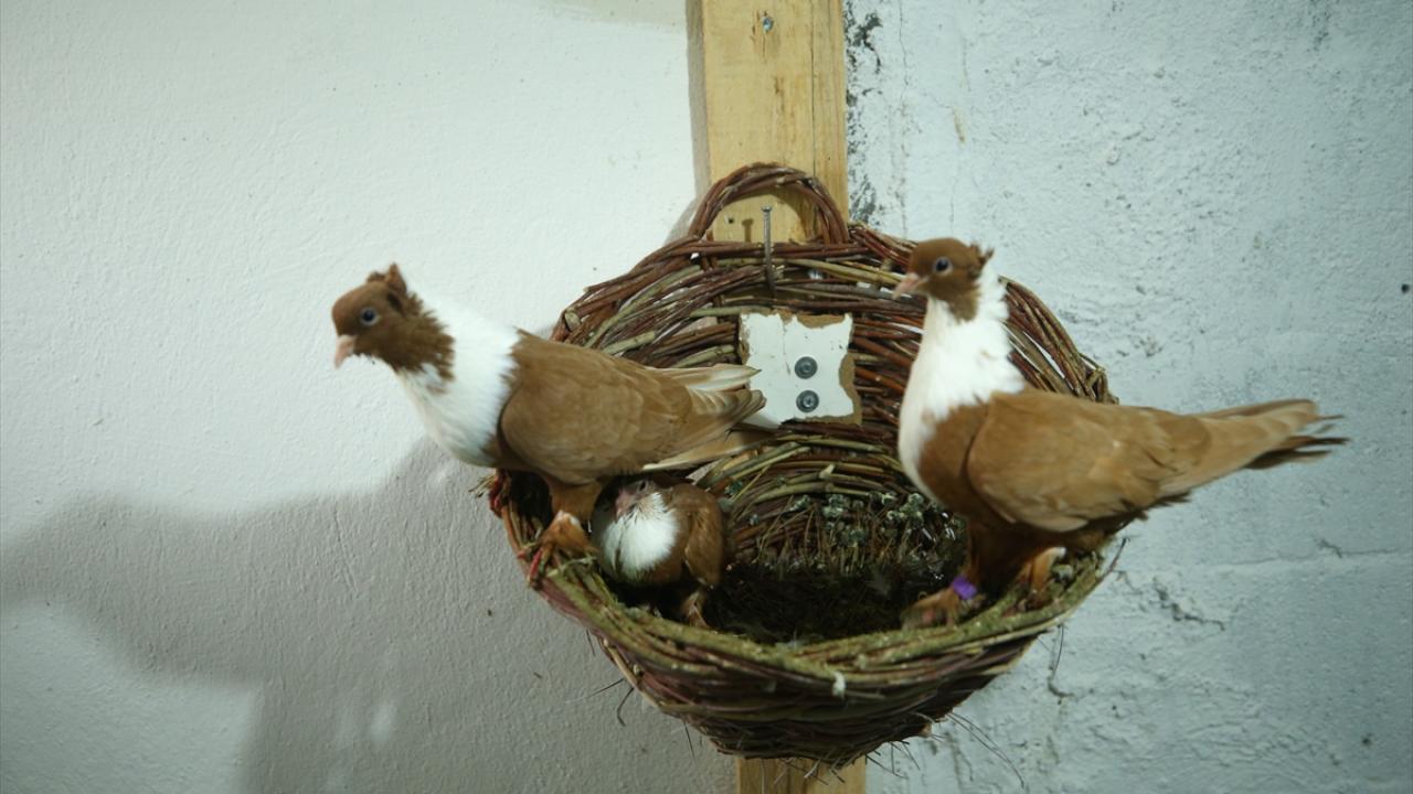 Her birinin ayrı bakımı var