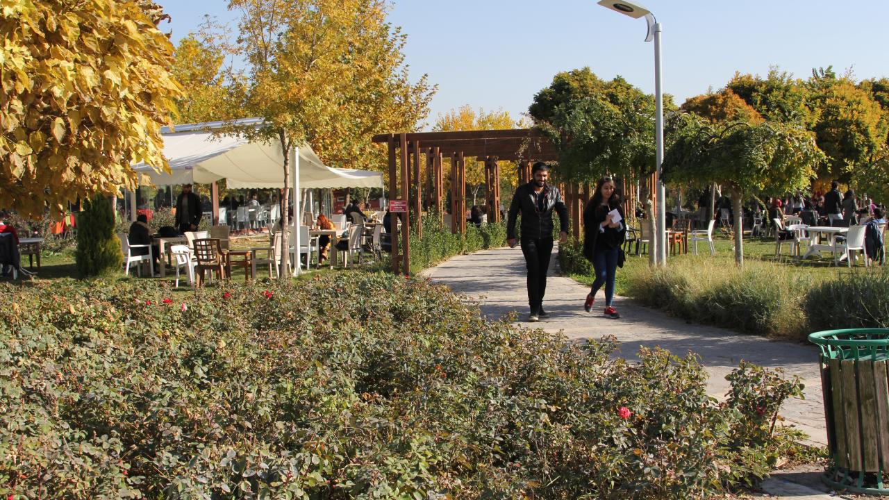 Fırat Üniversitesi