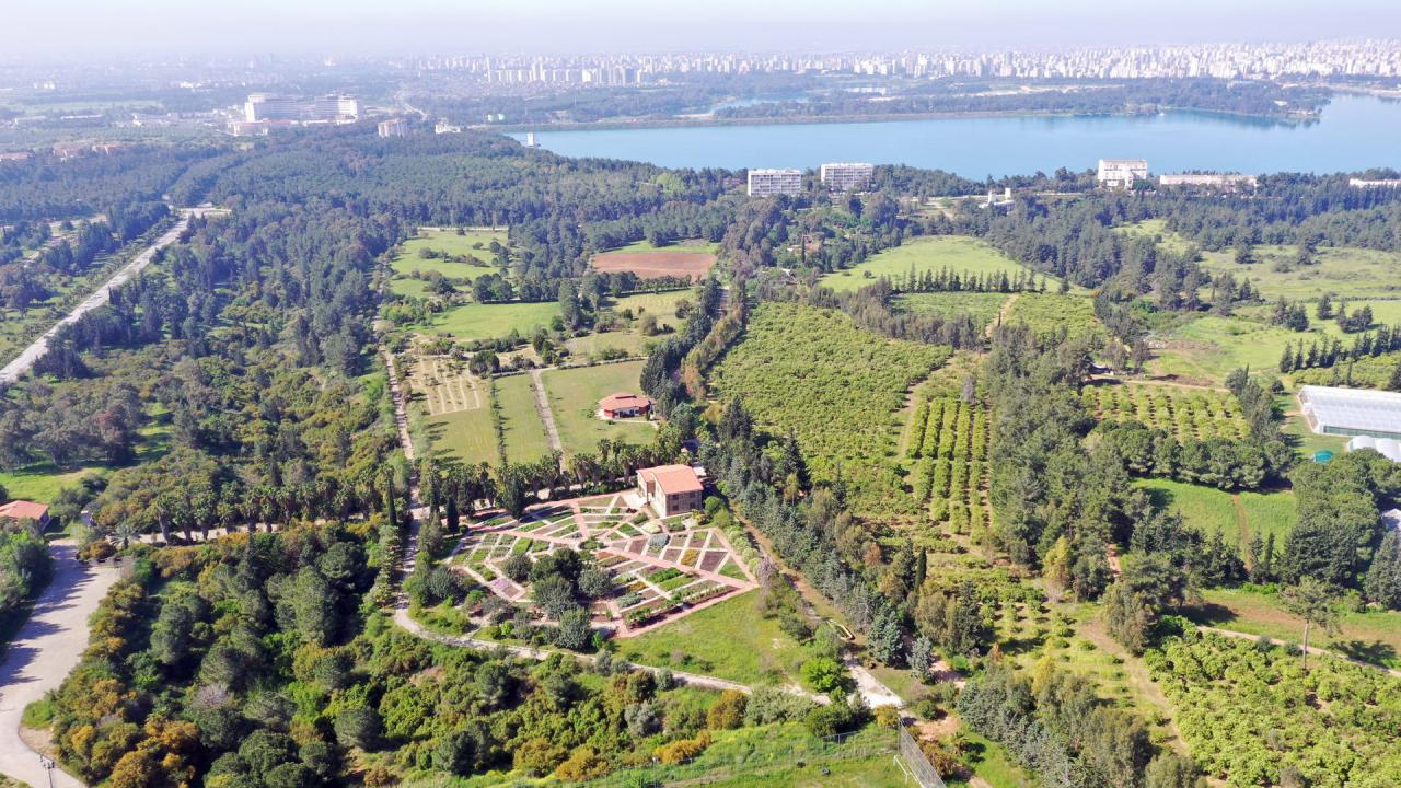 Çukurova Üniversitesi