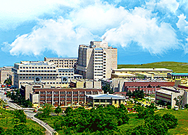 Ondokuz Mayıs Üniversitesi