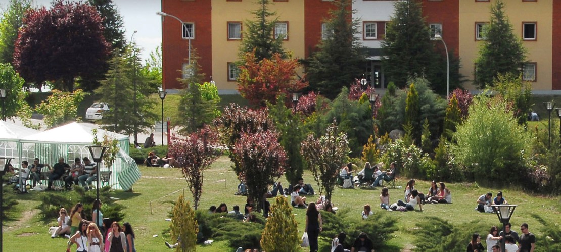 Hacettepe Üniversitesi