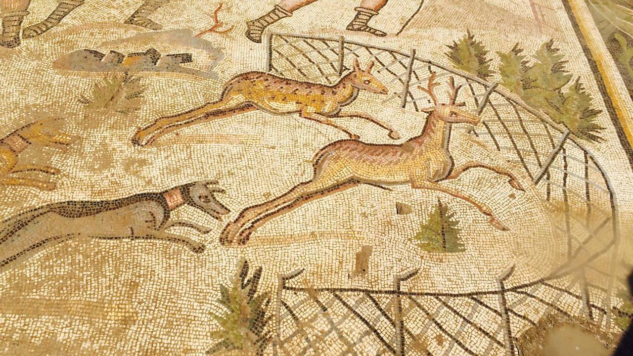 Ziyarete açılacak en büyük alan olacak