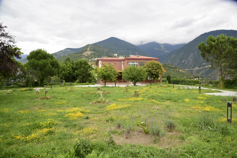 Artvin Çoruh Üniversitesi