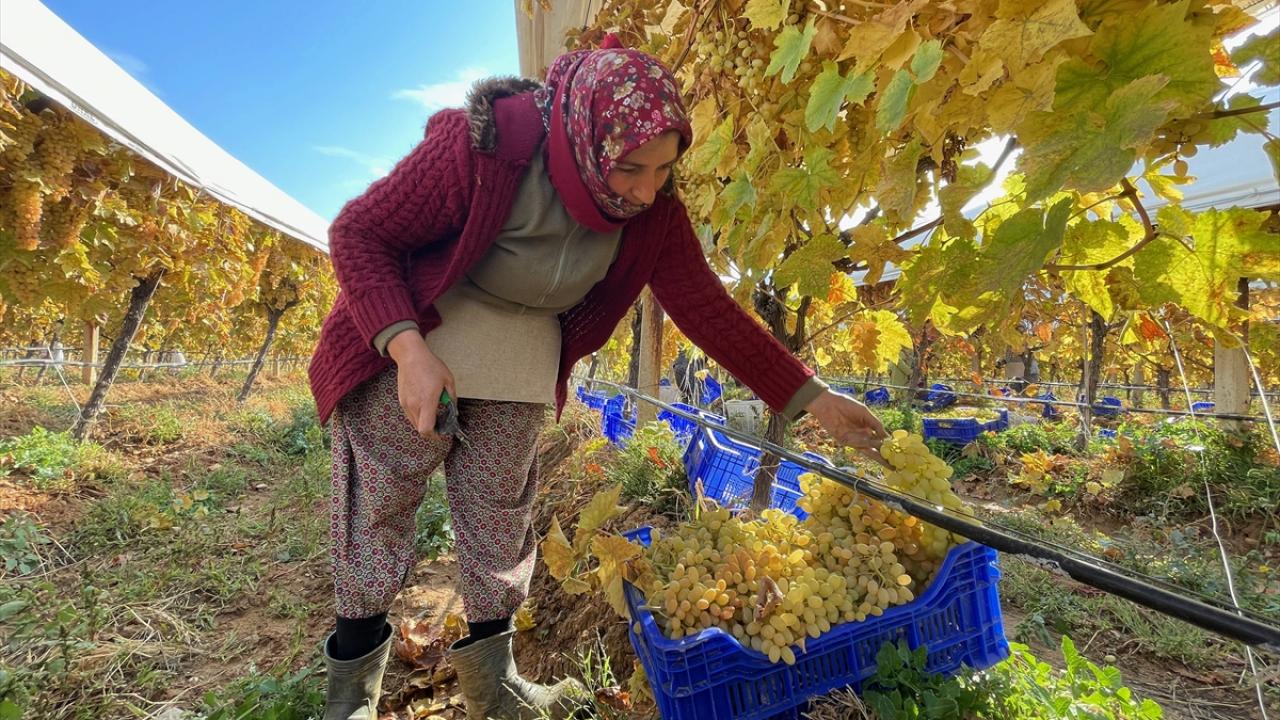 "İhracatta avantaj sağlıyoruz"