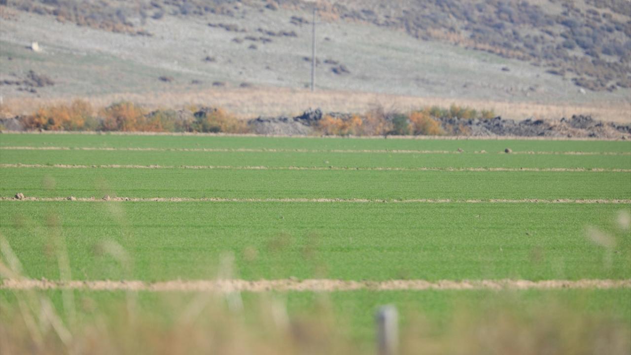"Barajların su tutması bizi ümitlendirdi"