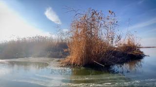 Eber Gölü yok olmanın eşiğinde