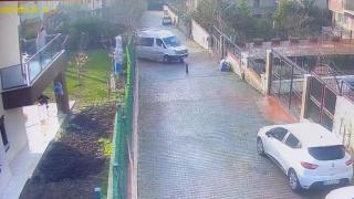 Köpeğe çarpıp yoluna devam etti