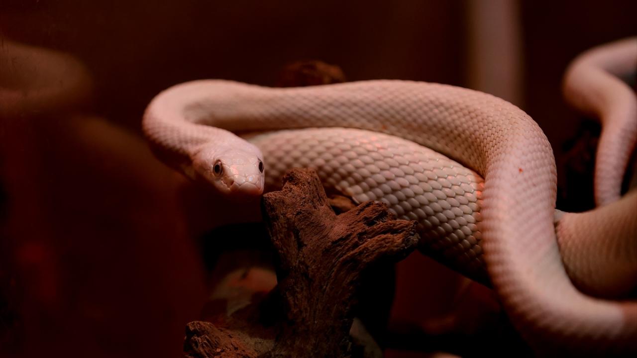 "Savaş bizi 18. yüzyıla sürükledi"