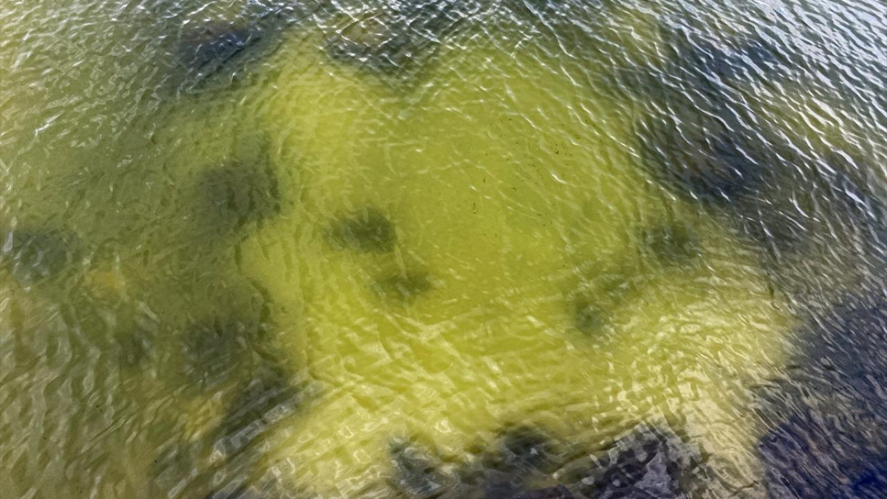 Derelerin atık yükü