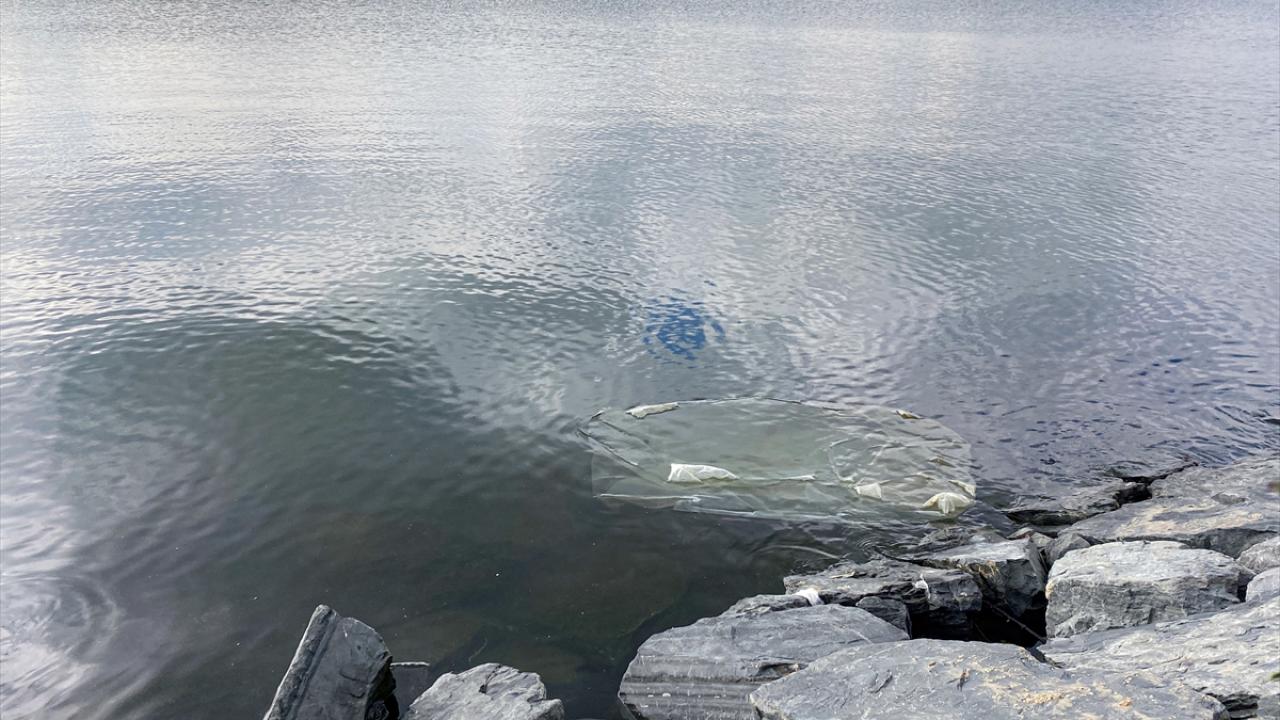 "Balıkçılığın yasaklanması lazım"