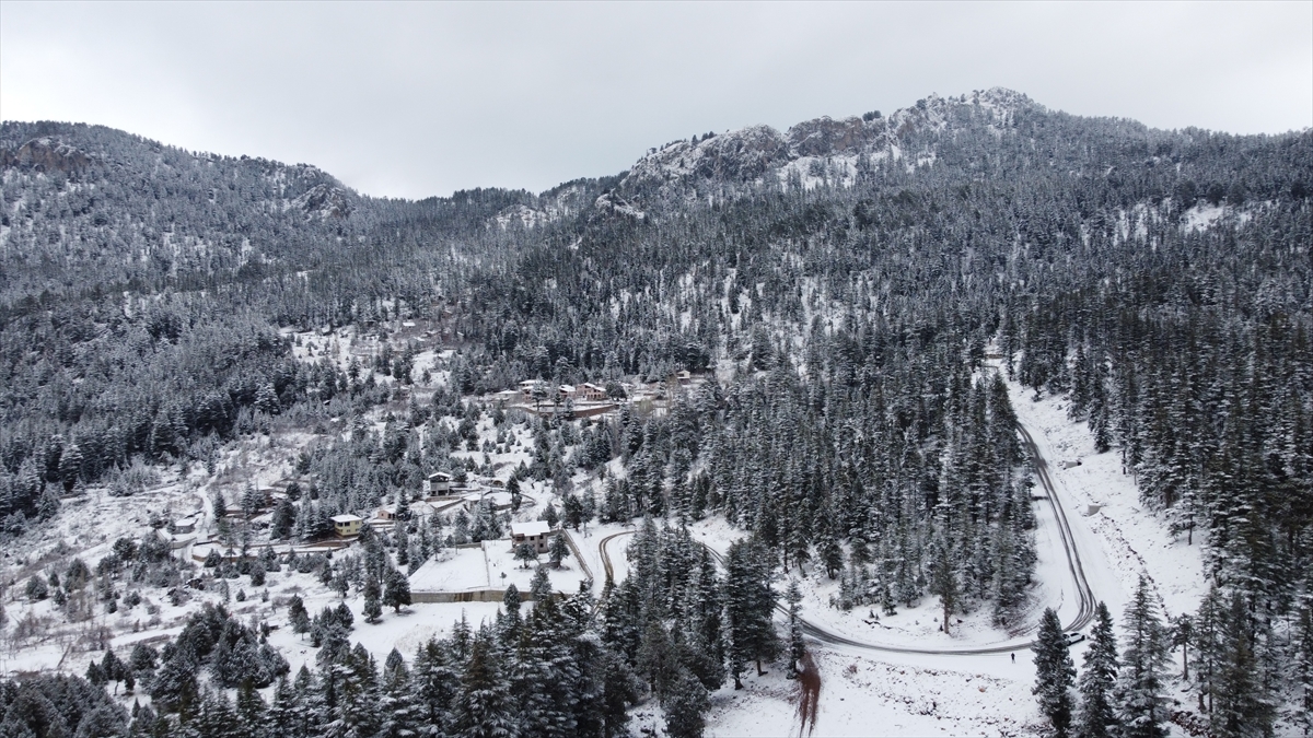 Hamma porno yulduz Siri bilan