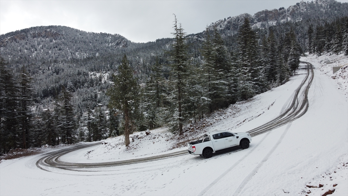 Karmelita yalangoch fotosurat