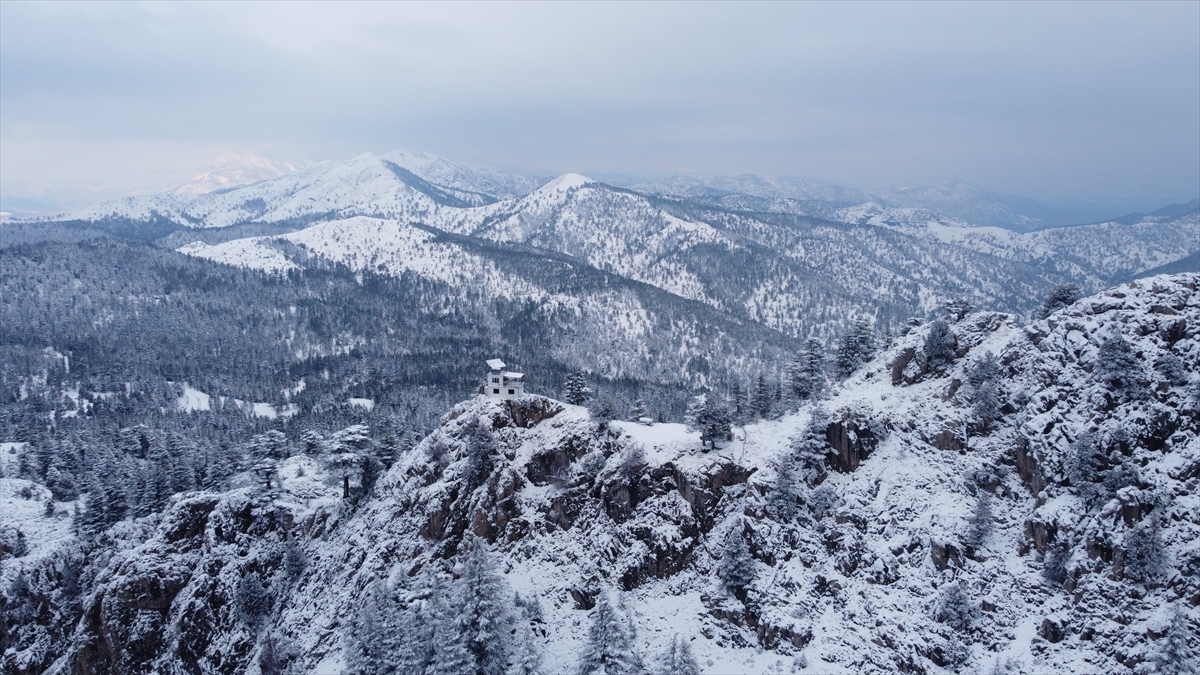 Yalangoch talabalar xususiy yotoqxonada