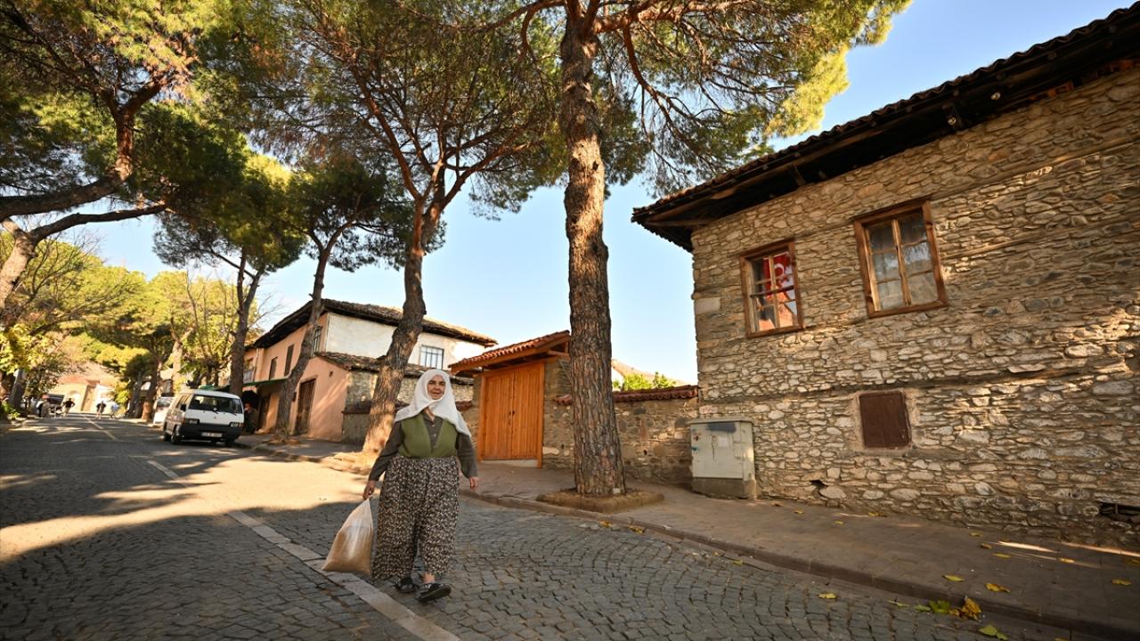 Meyvesi, insanı, komşuluğu çok güzel