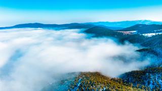 Sisle kaplanan Akdağmadeni Ormanları havadan görüntülendi