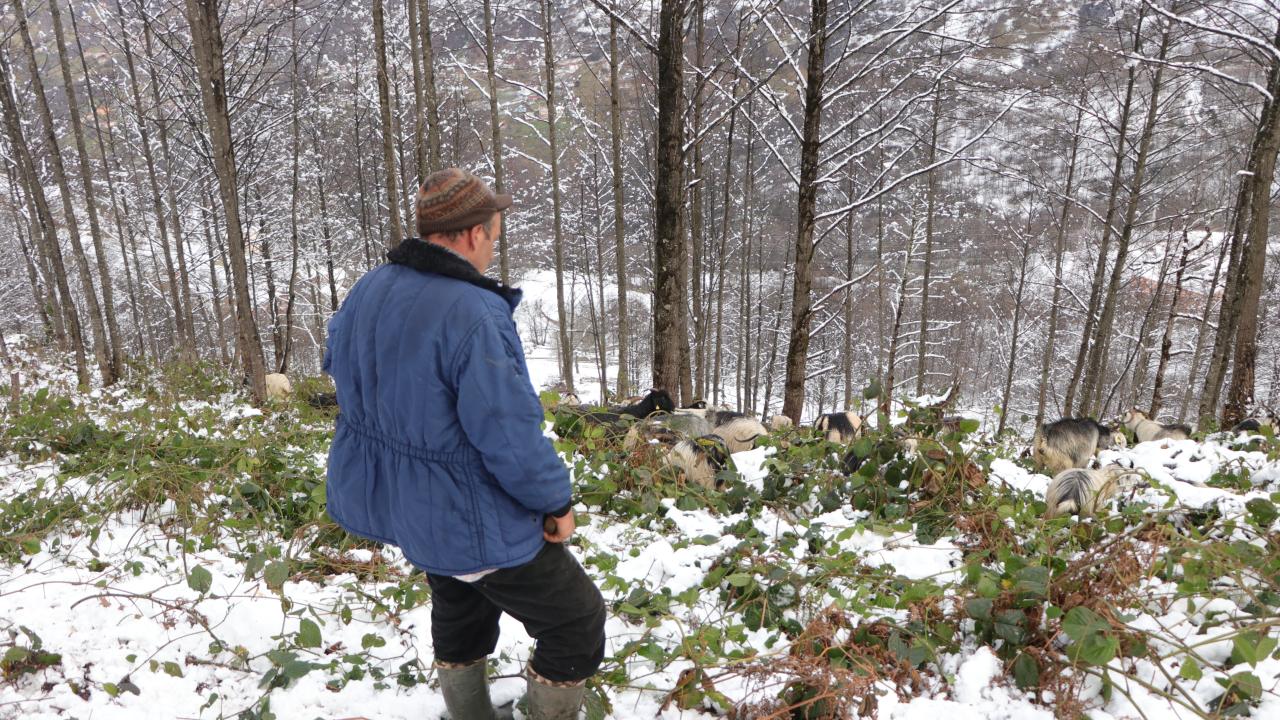 "Burada büyüdüğümüz için dağlara, araziye alıştık"