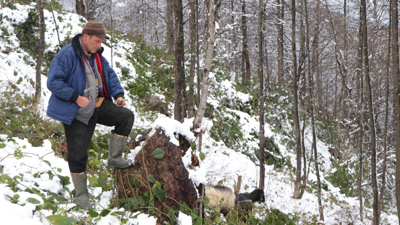 "Dağlardan da keçilerimden de kopamıyorum"