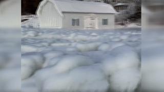 ABD'de bir iskele ve dükkan 'buz' tuttu