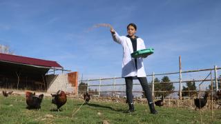 700 bin lira ciro yapan tarım lisesi, öğrencilerini uygulamalı eğitimle yetiştiriyor