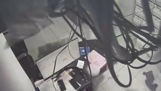 Antalya'da bir kedi girdiği iş yerinin tavanını çökertti