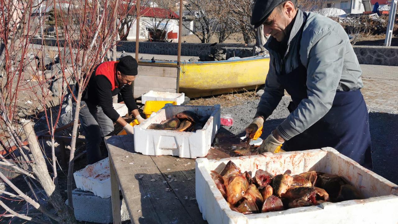 Misafirler için balık temizliği