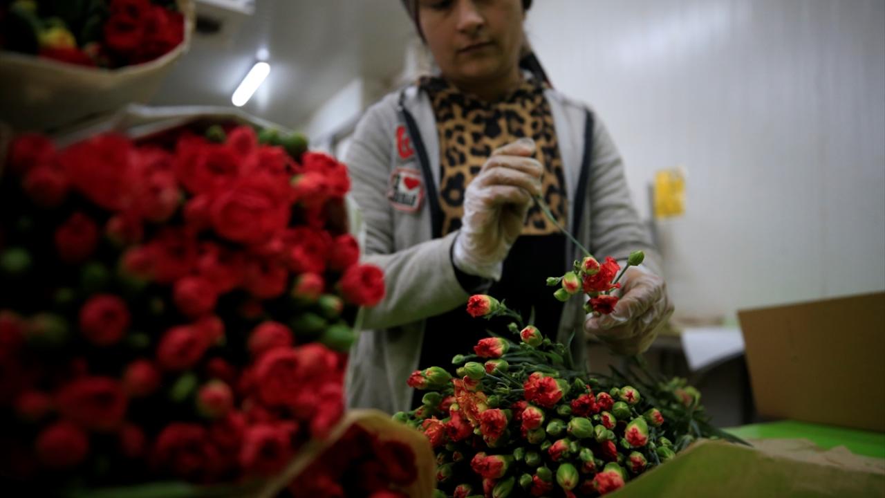 Hedef 17 milyarlık dolarlık pastadan daha fazla pay almak