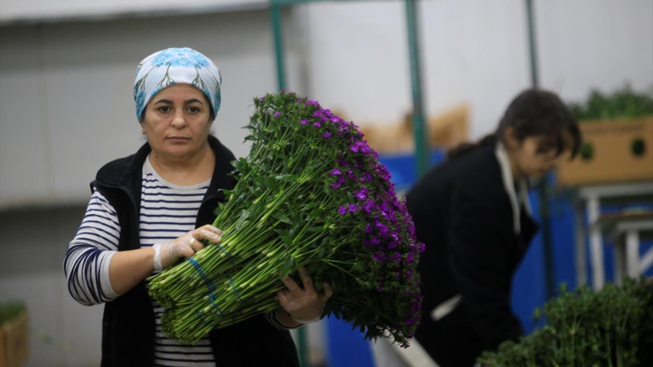 "Sektörde 300 bine yakın insan çalışıyor"