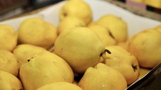 Dünya ayvayı Türkiye'den yiyor