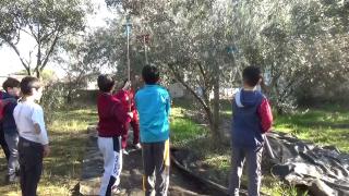 Anne babaları dikti, çocukları hasat yaptı