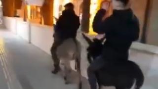 Bayburt'ta yeni yılda sıpalarla şehir turu