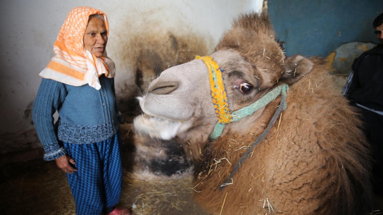 "Akşam, sabah yanlarından ayrılamıyorum"