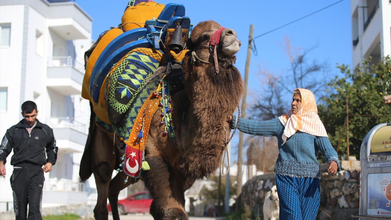"Hep güreşlere katıldım"