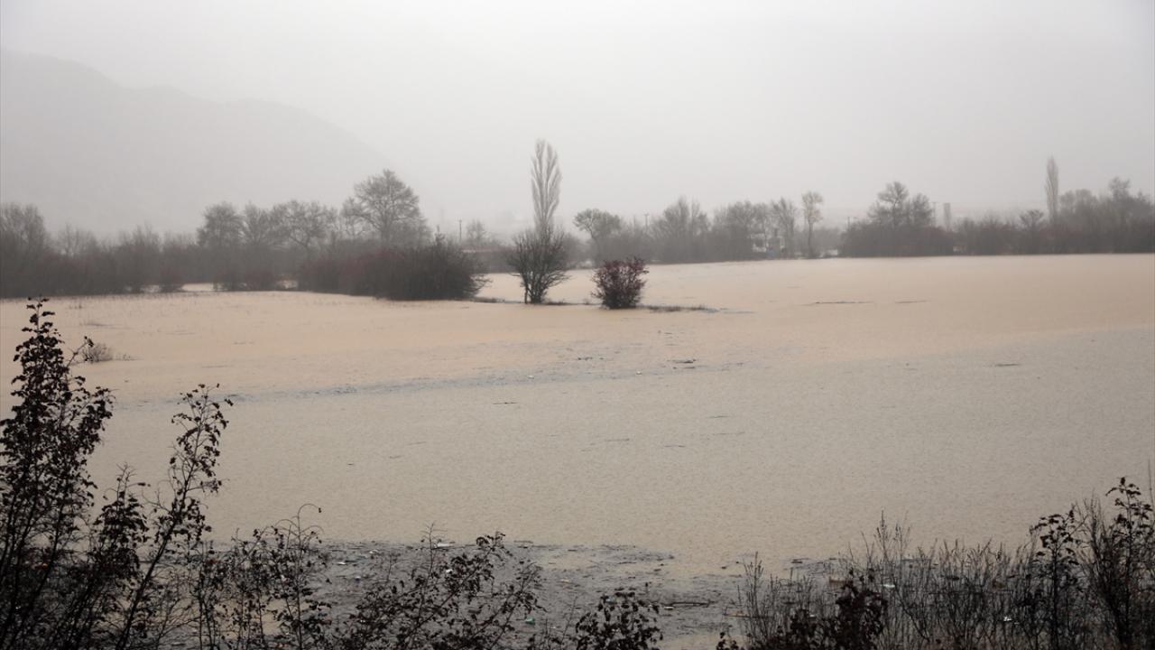 Denizin rengi kahverengiye döndü