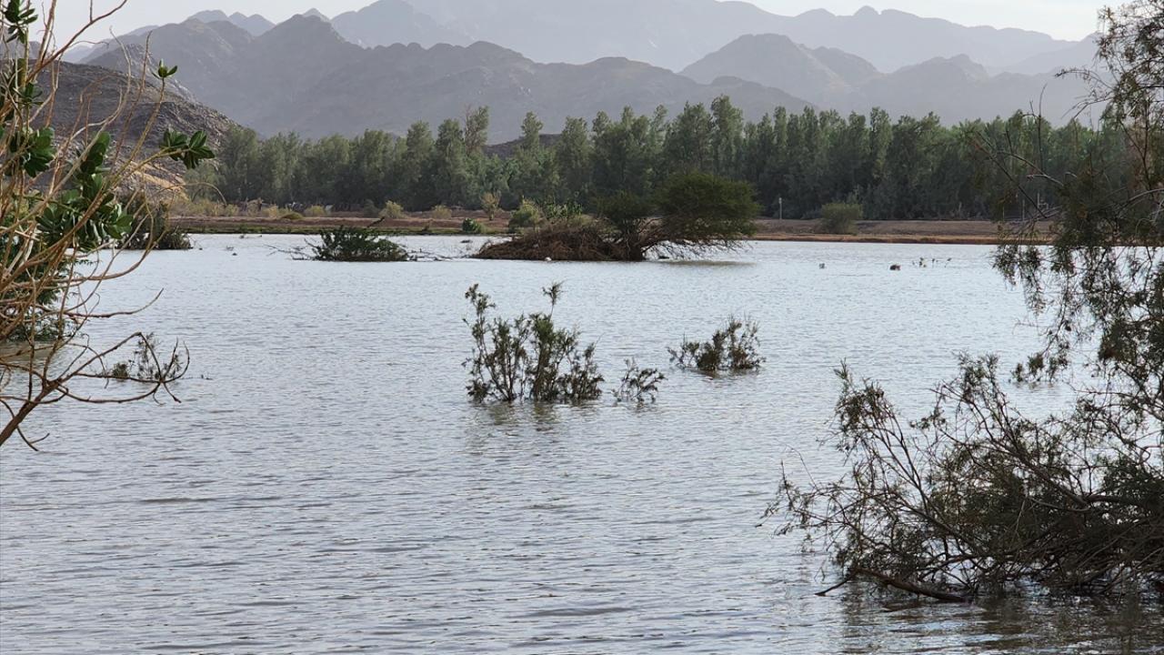 Yağışların ardından göl ve göletlerdeki su seviyesini yükseldi
