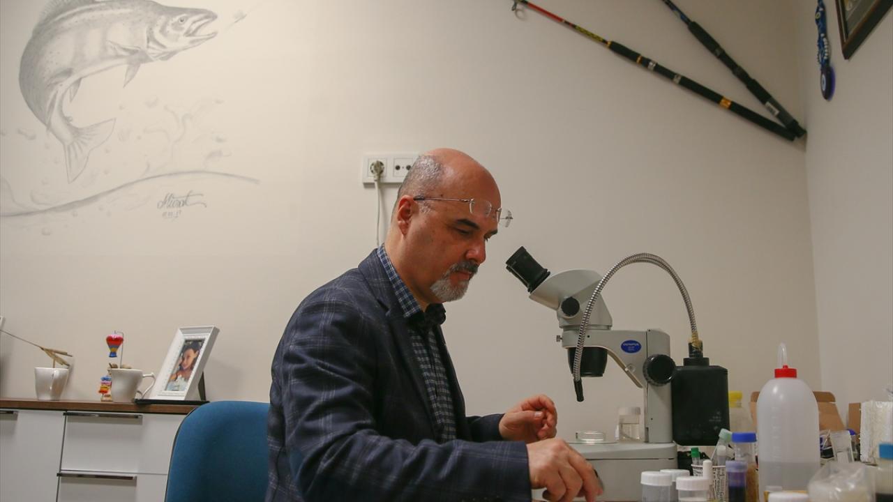 "Dünyada binden fazla türü var"