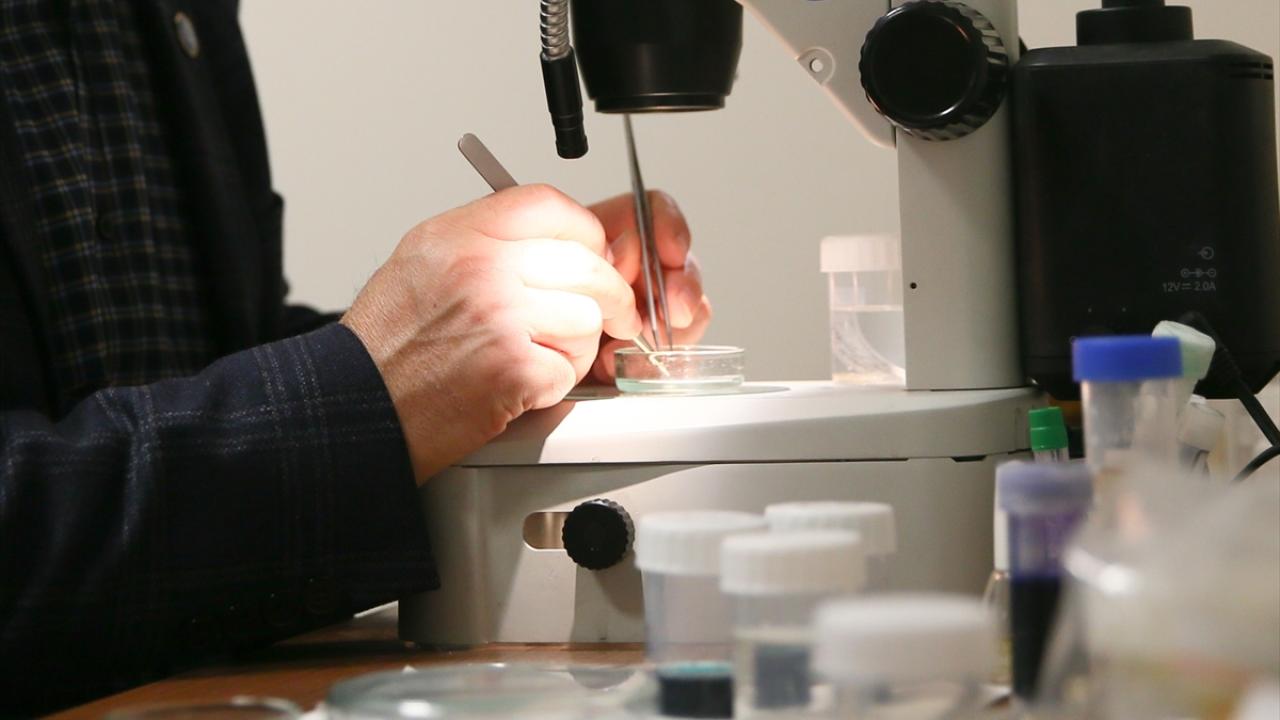 "Bunlar güzel gelişmeler"