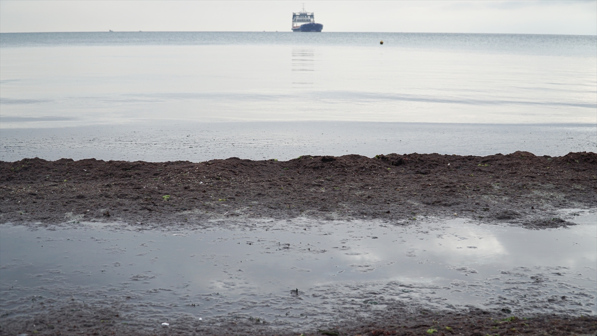 "Zaman zaman yaşanan doğal bir durum"
