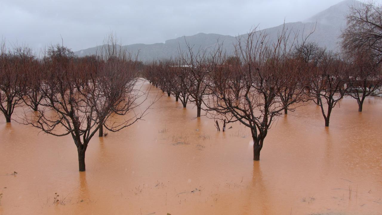 "Suyun içerisinde yaşıyoruz"
