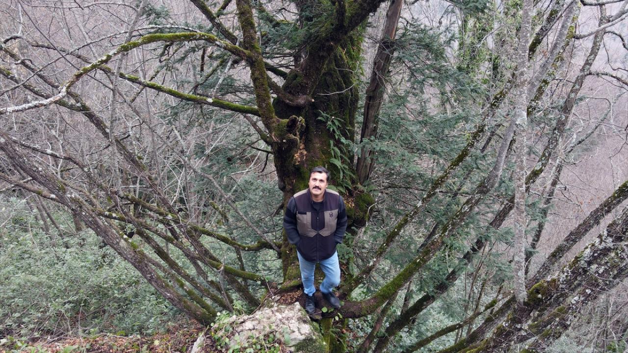 "Türkiye`deki kayacıkların atası diyebilirim"